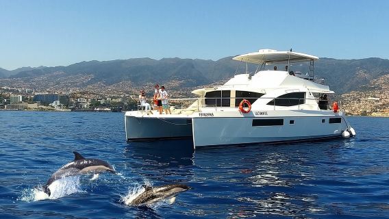 VipDolphins Luxury Whale Watching