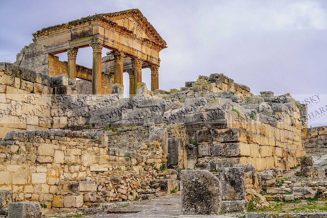 Tour privato di un giorno intero a Dougga e Bulla Regia via Testour con pranzo