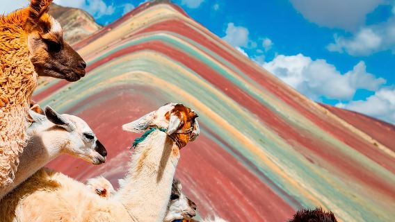 Excursión to Rainbow Mountain with Coca Ceremony | Prívate Tour |