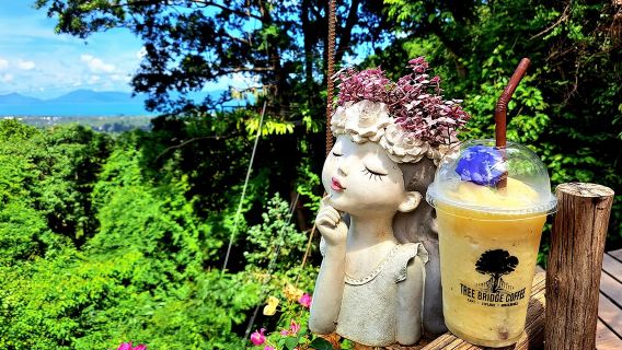 Koh Samui zipline Tree Bridge Zipline Tree Bridge Coffee