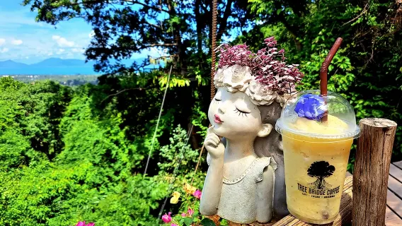 蘇梅島叢林飛躍Tree Bridge Zipline樹橋咖啡