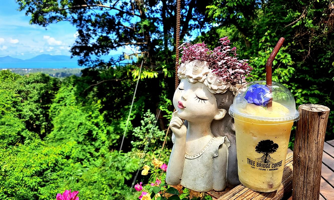 Koh Samui zipline Tree Bridge Zipline Tree Bridge Coffee