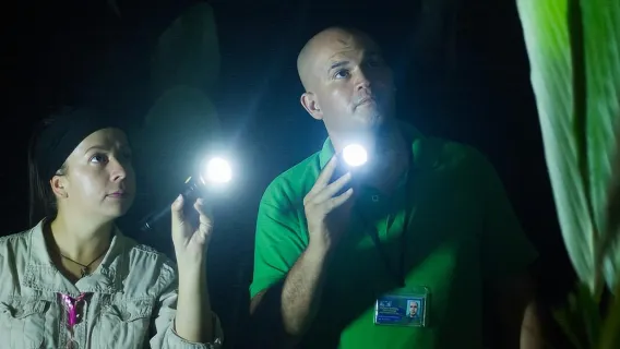 Small-Group Tortuguero National Park Night Walk in Costa Rica