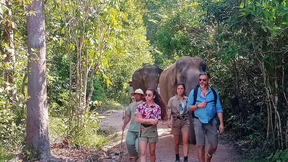 Foresta degli elefanti di Kulen e lago Tonle Sap con tour privato