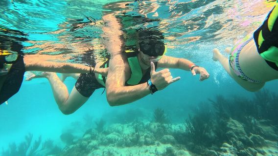 Playa del CarmenExperiences
