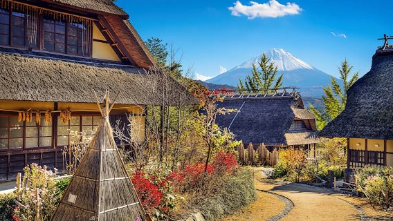 Mount Fuji, Asama Park, West Lake Rinko Field Day Tour