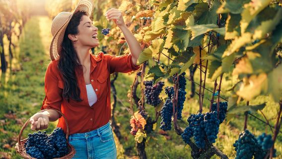 Avventura sull'Etna e degustazione di vini da Taormina