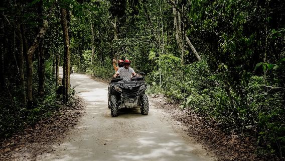Lawatan Atv Berganda Di Cozumel Dan Cenote Jade