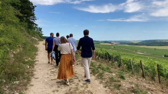 Walk in the vineyards of Chablis Grands Crus
