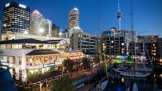 紐西蘭奧克蘭美術館+王子碼頭+天空塔+皇后街|vip市區專車