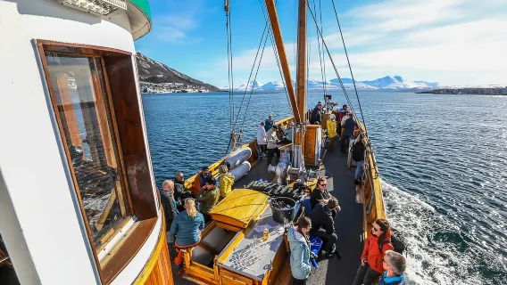 Tromso Fjord one-day tour in Norway [Classic Nordic Cruise/Enjoy the Fjord/Includes Hot Drinks and Snacks]