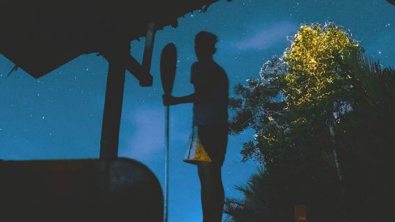 Bohol Abatan Maribojoc Firefly Watching