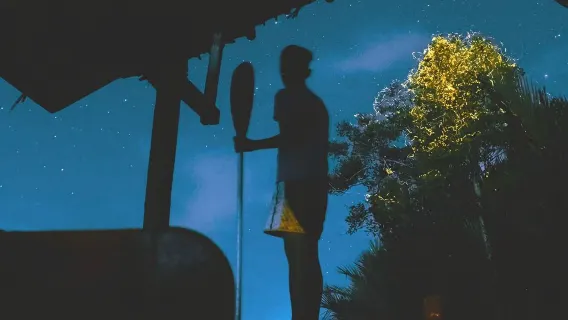 Bohol Abatan Maribojoc Glühwürmchenbeobachtung