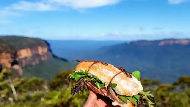 藍山小團遊，含瀑布漫步和新鮮午餐