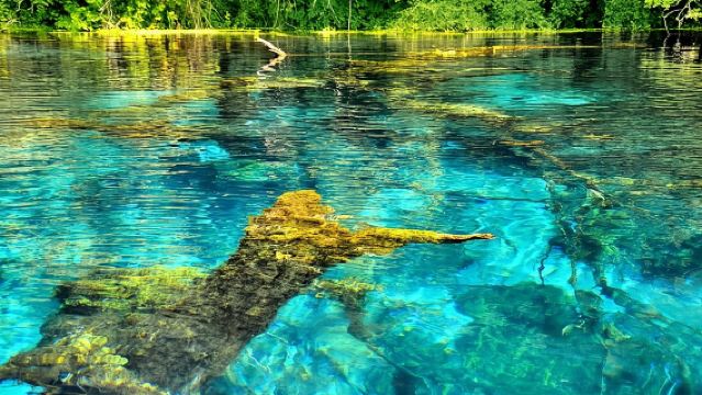 Butrint, Blue Eye, Ksamil and Lekuresi Castle Tour From Saranda