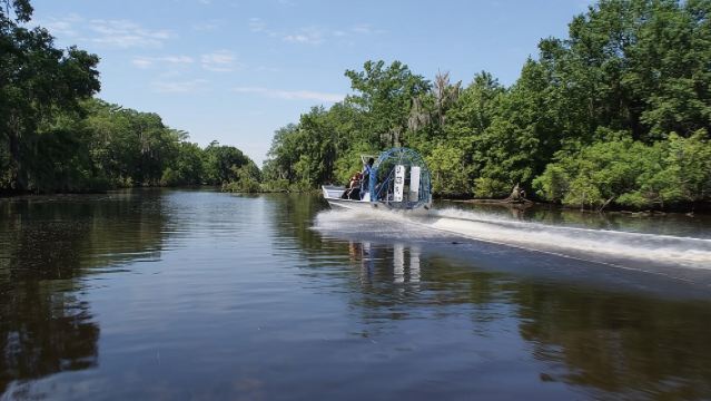 Kleine Gruppe: Airboat-Sumpftour mit Abholung in der Innenstadt von New Orleans