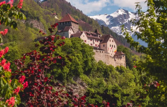 與當地人一同60分鐘探索瓦杜茲