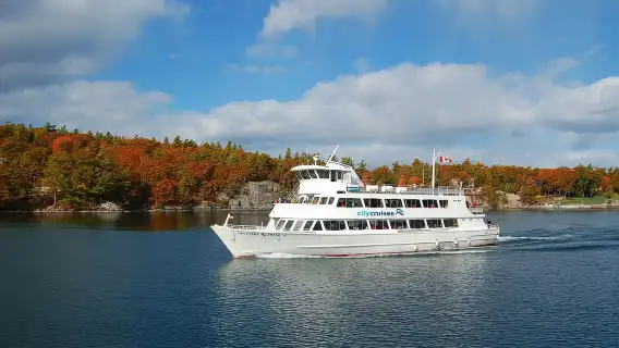 From Ivy Lea: 2-Hour Two Castle 1000 Islands Scenic Cruise