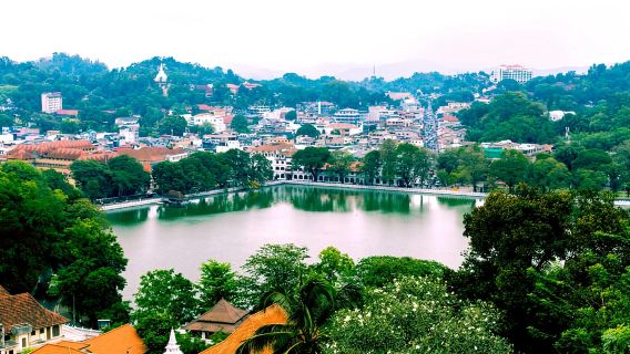 Kandy: All-day Ambuluwawa and Kandy City Tour by Tuk-Tuk