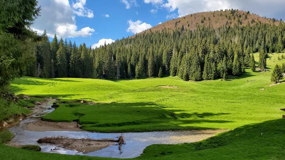 From Oradea: Apuseni Mountains Guided Hiking Tour