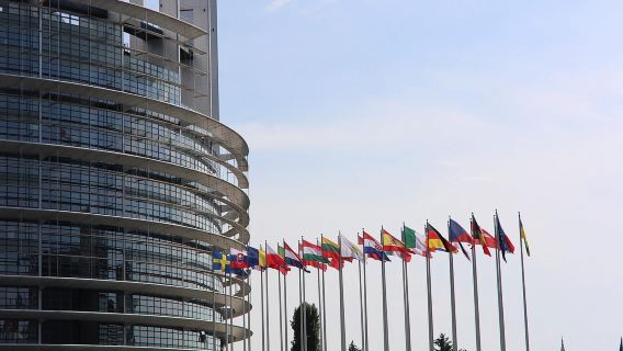 European Quarter Guided Walking Tour in Strasbourg