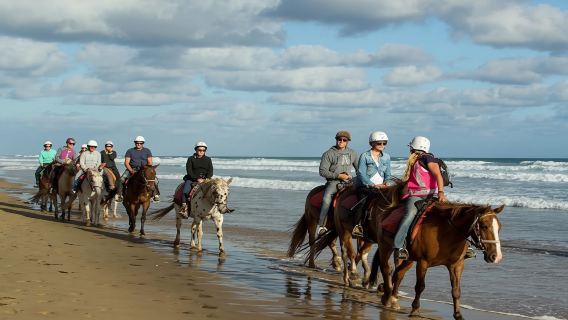 Oran: Horseback Riding Tour with Mint Tea and Pickup