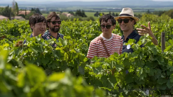 Avignon: Full-Day Châteauneuf du Pape Wines & Luberon Tour
