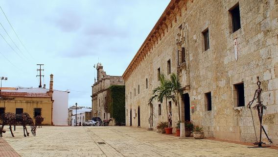 Scopri Santo Domingo: storia coloniale, monumenti e pranzo