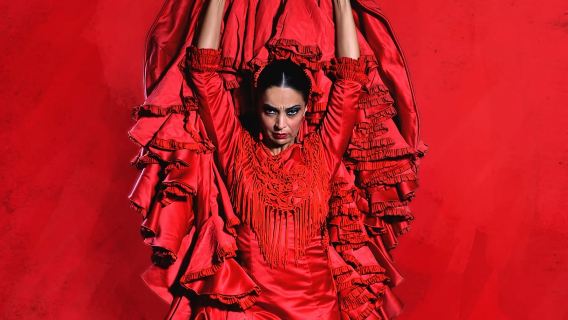 Madrid: Spettacolo di flamenco dal vivo "Emociones".