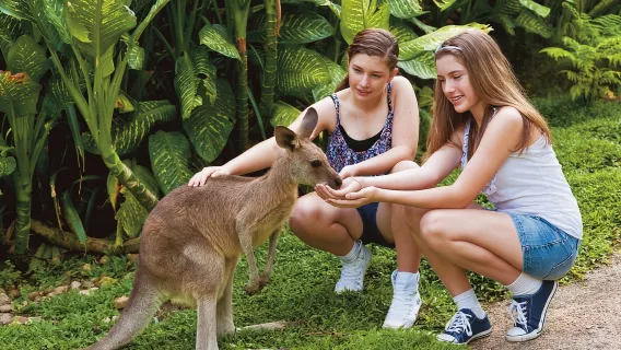 Entrada al parque Kuranda Koala Gardens