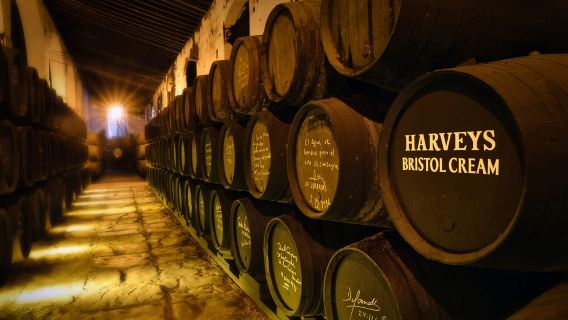 Jerez: visita guidata di Bodegas Fundador con sessione di degustazione