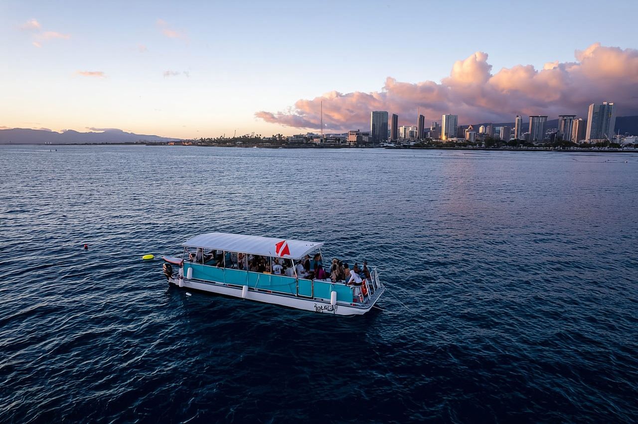 Oahu: Waikiki Whale Watch Boat Tour
