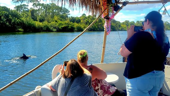 2 Hour Tiki Dolphin Sightseeing Tour in Cocoa Beach
