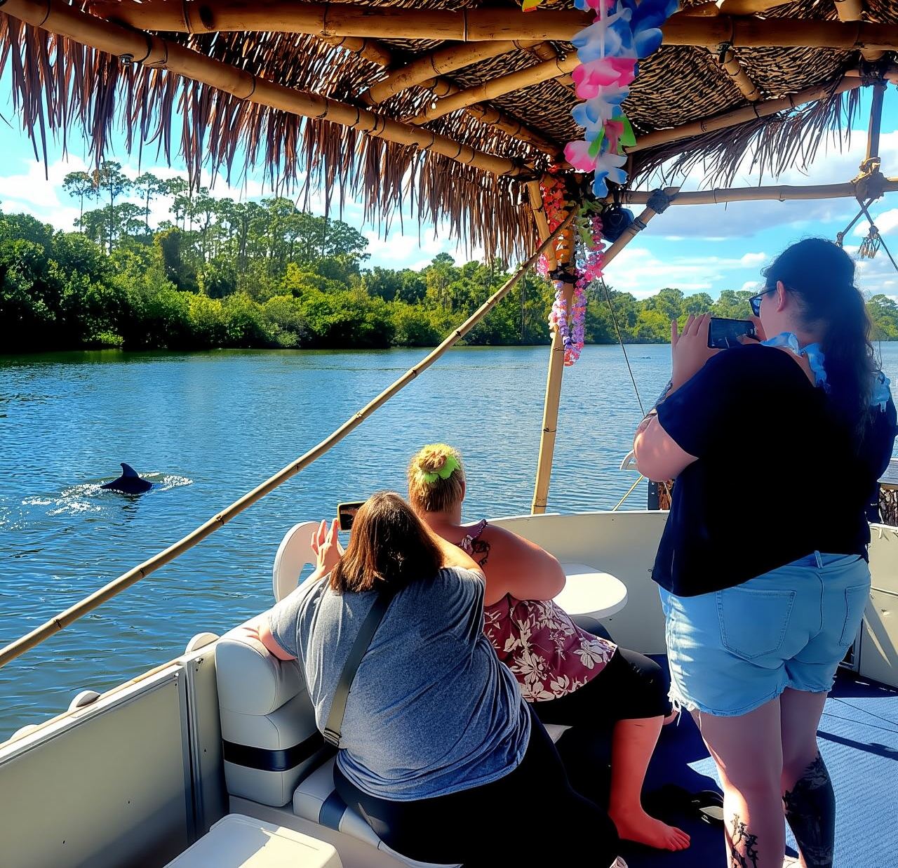2 Hour Tiki Dolphin Sightseeing Tour in Cocoa Beach