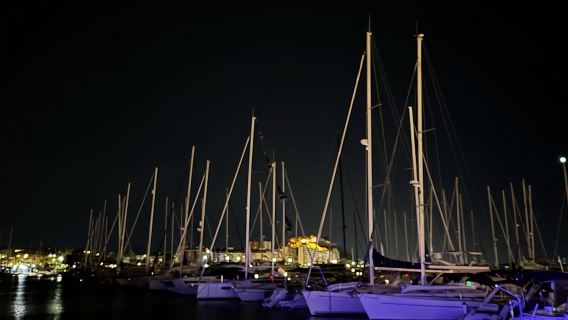 Denia: Guided Walking Tour