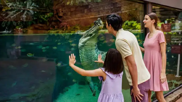 Singapore: River Wonders Entry Ticket