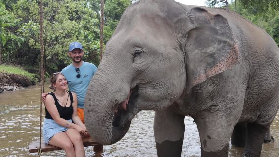 Chiang Mai: Santuario de elefantes, cascada y rafting en bambú