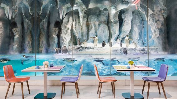 [Offre d'octobre] Buffet dîner Emperor Penguin pour deux personnes/famille (2 adultes + 1 enfant ou 2 adultes + 2 enfants) à l'hôtel Penguin de Zhuhai Chimelong