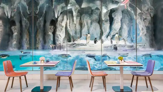 珠海長隆海洋王國度假區企鵝飯店帝企鵝餐廳自助早餐/午餐/晚餐