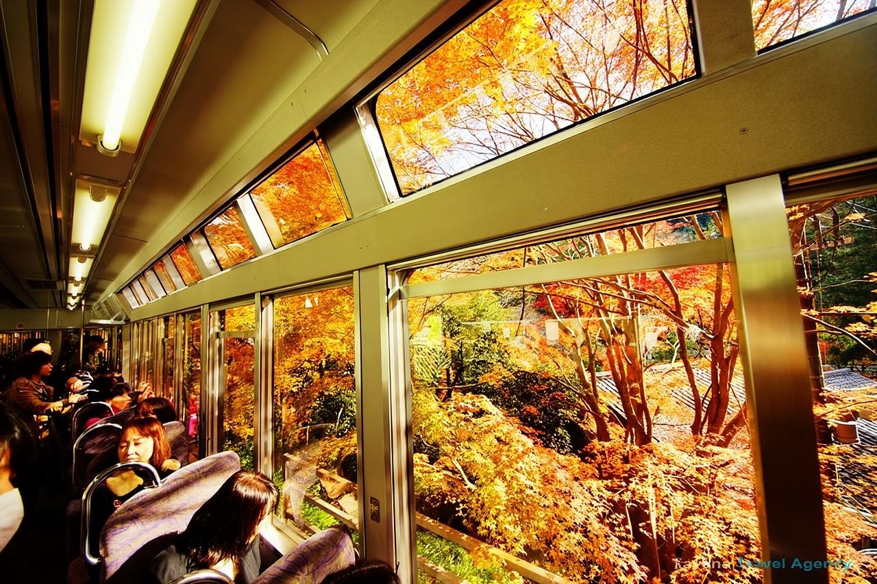 Sanzen-in + Kifune Shrine + Eikan-do Small Group 1-day Tour with Eizan Railway