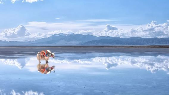 青海全境|專業英語導遊|商務翻譯服務|展會翻譯服務|（法文/意大利文/俄文）|其他語言（請諮詢客戶服務支援）