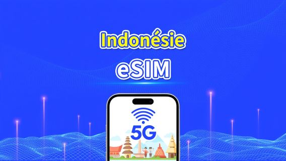 eSIM d'Indonésie | 5G/4G | Forfait de données quotidien/total | 1-30 jours | Facturation par jour naturel | code QR