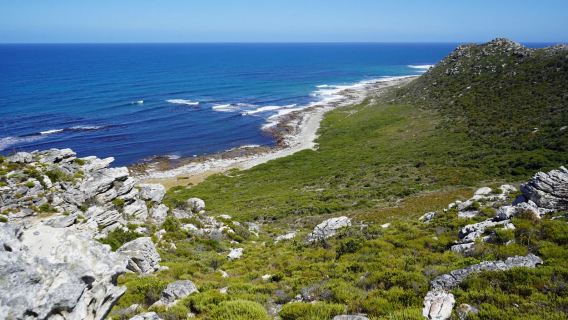 開普敦包車一日遊 開普點保護區+滑翔傘體驗+大康斯坦夏葡萄酒莊園