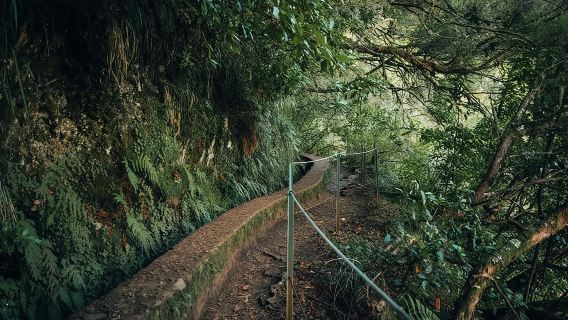 PR9 Caldeirão Verde Queimadas Levada Transfer Pendakian Mandiri