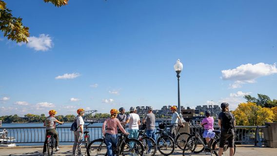 Bike / E-bike Tour : Downtown, Old Montreal, Waterfront by Fitz
