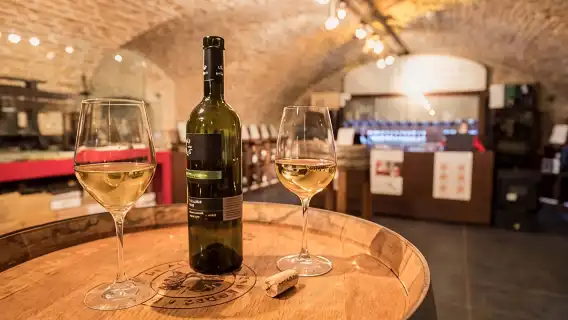 Wine Tasting with Sommelier in Bratislava