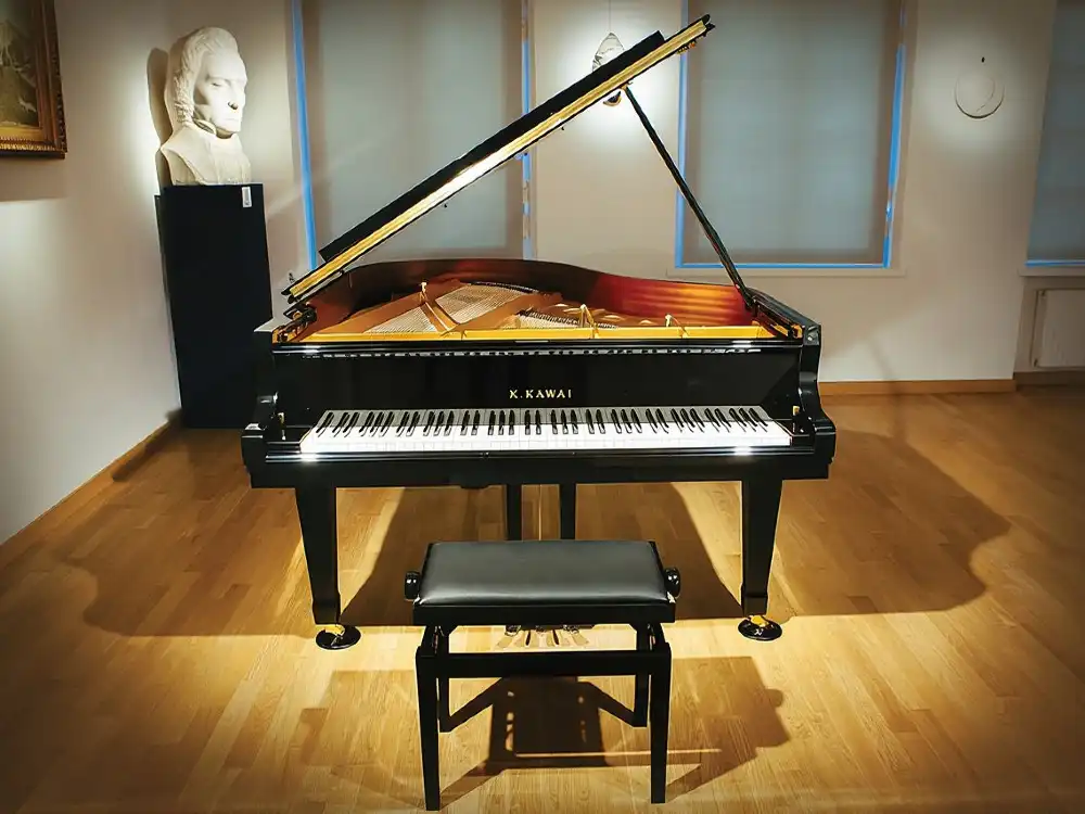 Daily live piano Chopin's concerts at 6:30 pm in the Warsaw