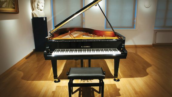Daily live piano Chopin's concerts at 6:30 pm in the Warsaw Archdiocese Museum
