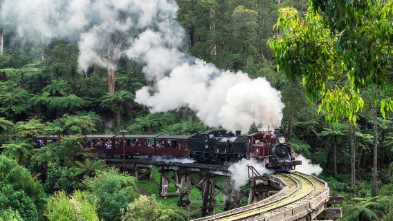 墨爾本菲利普島+普芬比利蒸汽小火車包车一日遊