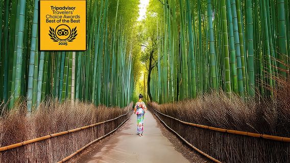 ทัวร์เดินชมอาราชิยามะ เกียวโต: ไผ่ ลิง สวน และความลับ